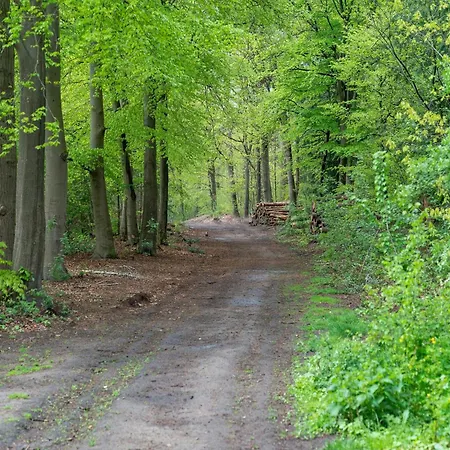 Forest With Pets, Cleaning Included Holiday home