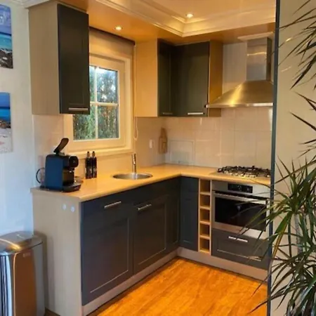 Forest With Pets, Cleaning Included Holiday home Voorthuizen